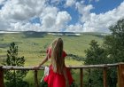 Любовный треугольник. Уйти или остаться