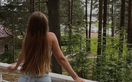Дачная ирония судьбы