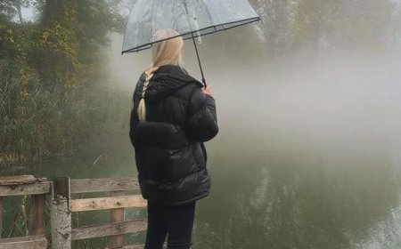 Познакомились, встречались, поженились, позже родился ребёнок