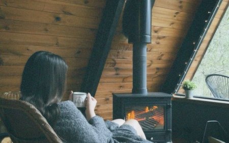 Ищу верного Бобика, который будет мне служить а я его содержать